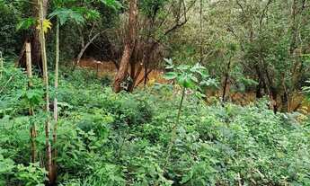 Imagem: Vendo terreno 20 x150 com rio passando no