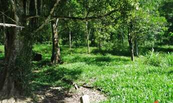 Imagem 2: Sítio / Chácara para Venda em Nova Petrópolis, Linha Temerária