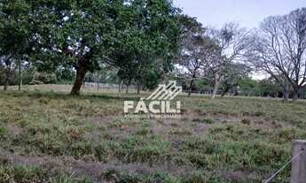 Imagem 3: Vende-se Fazenda de 38 Alqueires em Divinópolis Tocantins