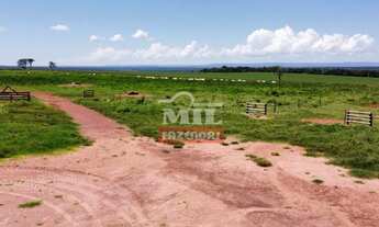 Imagem 6: Fazenda 255 Alqueires (1.234 Hectares) Aragarças - GO