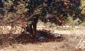 Imagem 6: Vendo lote no núcleo rural sarandy próximo a embrapa e faculdade upis