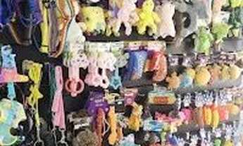 Imagem 5: Pet Shop Completo (Passo o ponto), Loja na Barra da Tijuca, 70m²