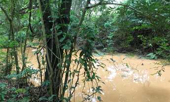 Imagem 7: Chácara próxima a barragem da copasa