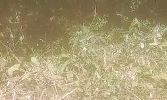 Imagem 3: Lotes de 300 mts