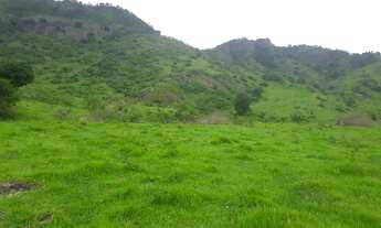 Imagem 5: Venda-se está propriedade de 43,5 no Município de Itaperuna/RJ