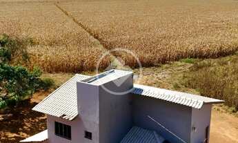 Imagem 3: Mairipotaba - Fazenda de 24 Alqueires codigo: 130578