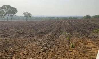 Imagem 2: Fazenda em Guarai