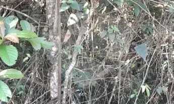 Imagem 7: Terreno à venda em Roseira - SP