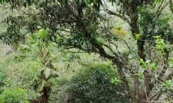 Imagem 5: Chácara em Condomínio na cidade Mairinque !