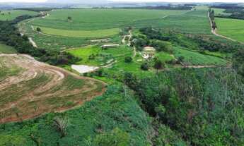 Imagem 2: Fazenda com 151,80 hectares à venda - Santa Rosa do Viterbo/SP