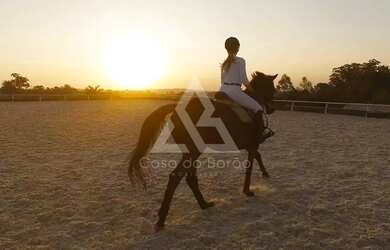 Imagem 13: Terreno Fundos para o Lago à venda no Terras II