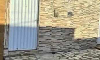 Imagem 5: Casa pronta para morar