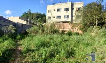 Imagem 3: LOTE A VENDA DEL REY ,SÃO JOSE DOS PINHAIS