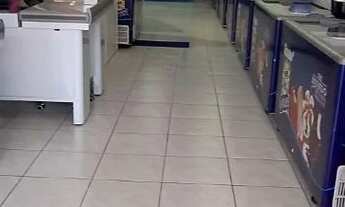 Imagem 6: Vendo Sorveteria da Marca Natuice 5 anos no mercado