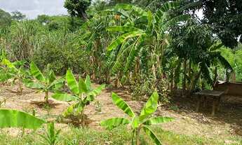 Imagem 3: Lindo sítio a venda