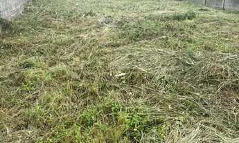 Imagem 5: Terreno plano documento todo ok 10x50 500m2 bairro alto