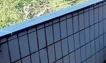 Imagem 4: Apartamento em Rua João Henrique do Nascimento - Enseada - Guarujá/SP