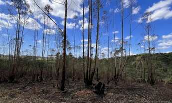 Imagem 2: Terreno pra chácara por R$35mil Ibiúna