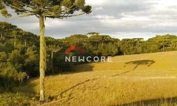 Imagem 2: Sítio em Interior - Interior - Zona Rural - São Francisco de Paula/RS