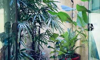 Imagem 4: Prédio comercial com salas de atendimento, sala de aula e anfiteatro