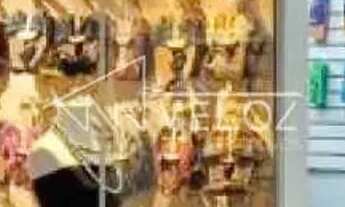 Imagem 3: Sobreloja : / Comercial / Catete