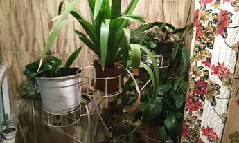 Imagem 5: Casa em Rua Canário - Laranjeiras - Caieiras/SP