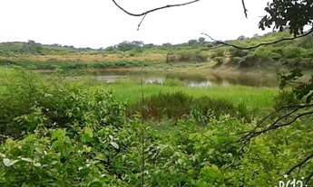 Imagem: Fazenda em Martins medindo 47 hectares casa