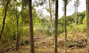 Imagem 4: SÍTIO com vista !!