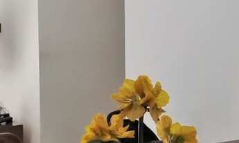 Imagem 3: Rio de Janeiro - Apartamento Padrão - Barra da Tijuca