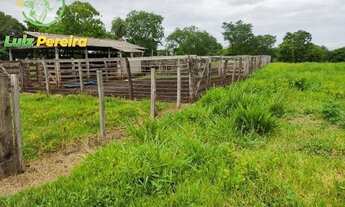Imagem 7: FAZENDA À VENDA NO FORMOSO DO ARAGUAIA -TO - 2,008 HECTARES (DUPLA APTIDÃO