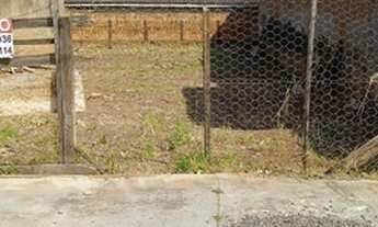 Imagem 2: Lote/Terreno 250 m² - Jardim Santa Helena - Catanduva