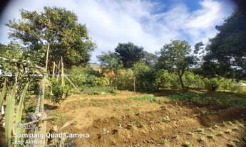 Imagem 6: Chácara Ótima Munhoz (Sul M.G) 7500 m² Casa 140m² 2d/wc/2v/pomar/horta"Oportunidade Ú