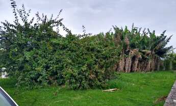 Imagem 7: EXCELENTE LOTE COM VISTA PARA O MAR