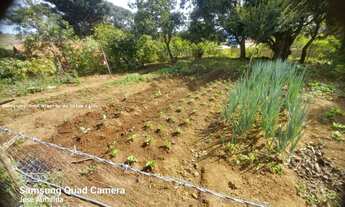 Imagem 5: Chácara Ótima Munhoz (Sul M.G) 7500 m² Casa 140m² 2d/wc/2v/pomar/horta"Oportunidade Ú