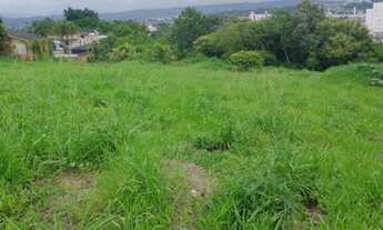 Imagem: CRICIÚMA - Terreno Padrão - MILANESE