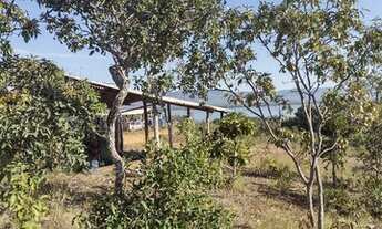 Imagem 6: EXCELENTES LOTES NA BARRAGEM DO RIO PARANÃ!