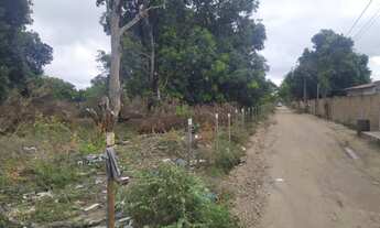 Imagem 2: Lote/Terreno para venda tem 48000 metros quadrados em SIM - Feira de Santana - BA