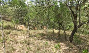 Imagem 3: Chácara - Sousas - Campinas