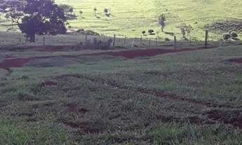Imagem 6: Fazenda à venda, 1016400 m² por R$ 565.000,00 - Chácara Paraíso - Jacarezinho/PR