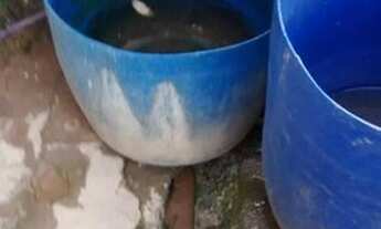 Imagem 4: São Paulo - Terreno Padrão - Cachoeirinha