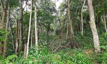 Imagem 2: Chácara residencial para Venda Área com 3.540 M²