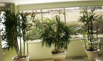 Imagem: Apartamento com 1 dormitório para alugar