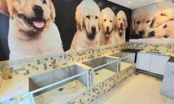 Imagem 3: Apartamento para aluguel com 74 metros quadrados com 2 quartos