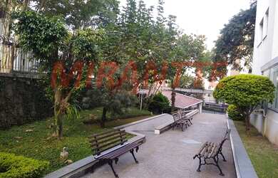 Imagem 2: Lindo apartamento em Vila Amelia