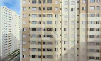 Imagem 5: Apartamento para Aluguel - Jardim Iris , 2 Quartos, 44 m2