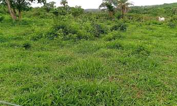 Imagem 7: Sitio 7 Alqueires,Terra de Cultura ,25 minutos Major Prates.