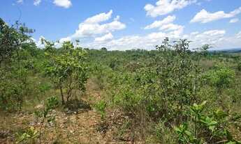 Imagem 4: Chácara de 20mil metros plana a 2.3km da MG10 com vista maravilhosa!