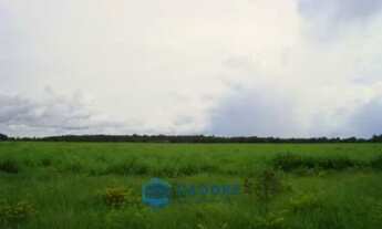 Imagem 4: Área Rural, no Tocantis