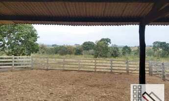 Imagem 3: FAZENDA (324 Hectares), EM VARGEM GRANDE MT