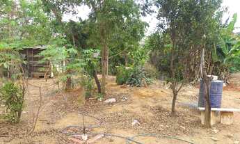 Imagem 5: Terreno de 4680 m² no bairro Campinho de Baixo (Palmital